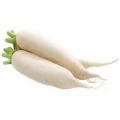 Nabo Daikon Nabo Daikon